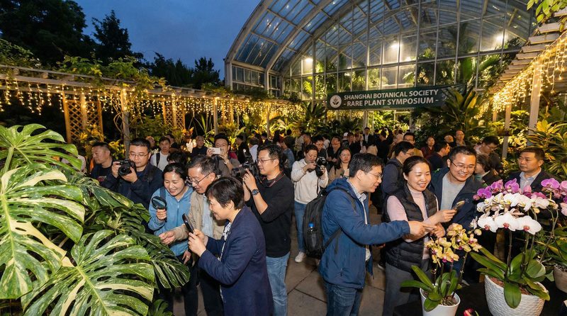 熟女人妻植物社区活动